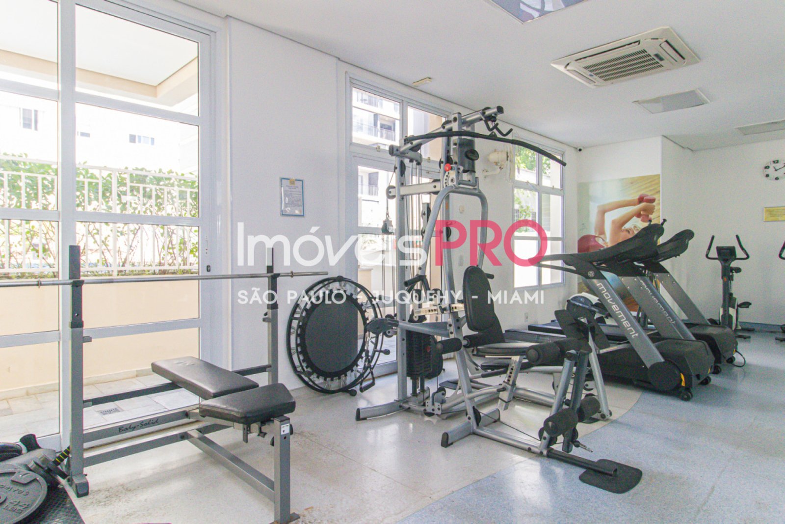 Foto :: IP40093