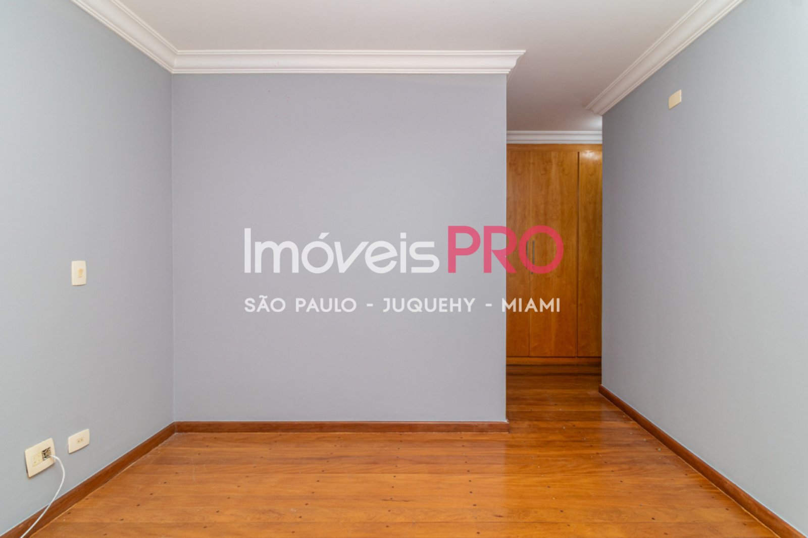 Foto :: IP40105