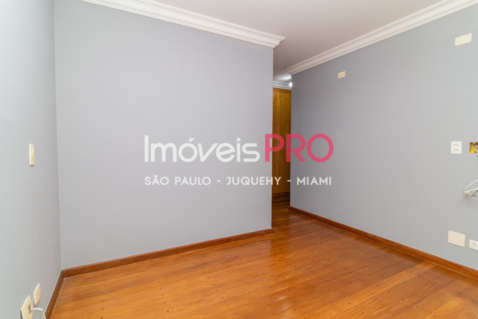 Foto :: IP40105