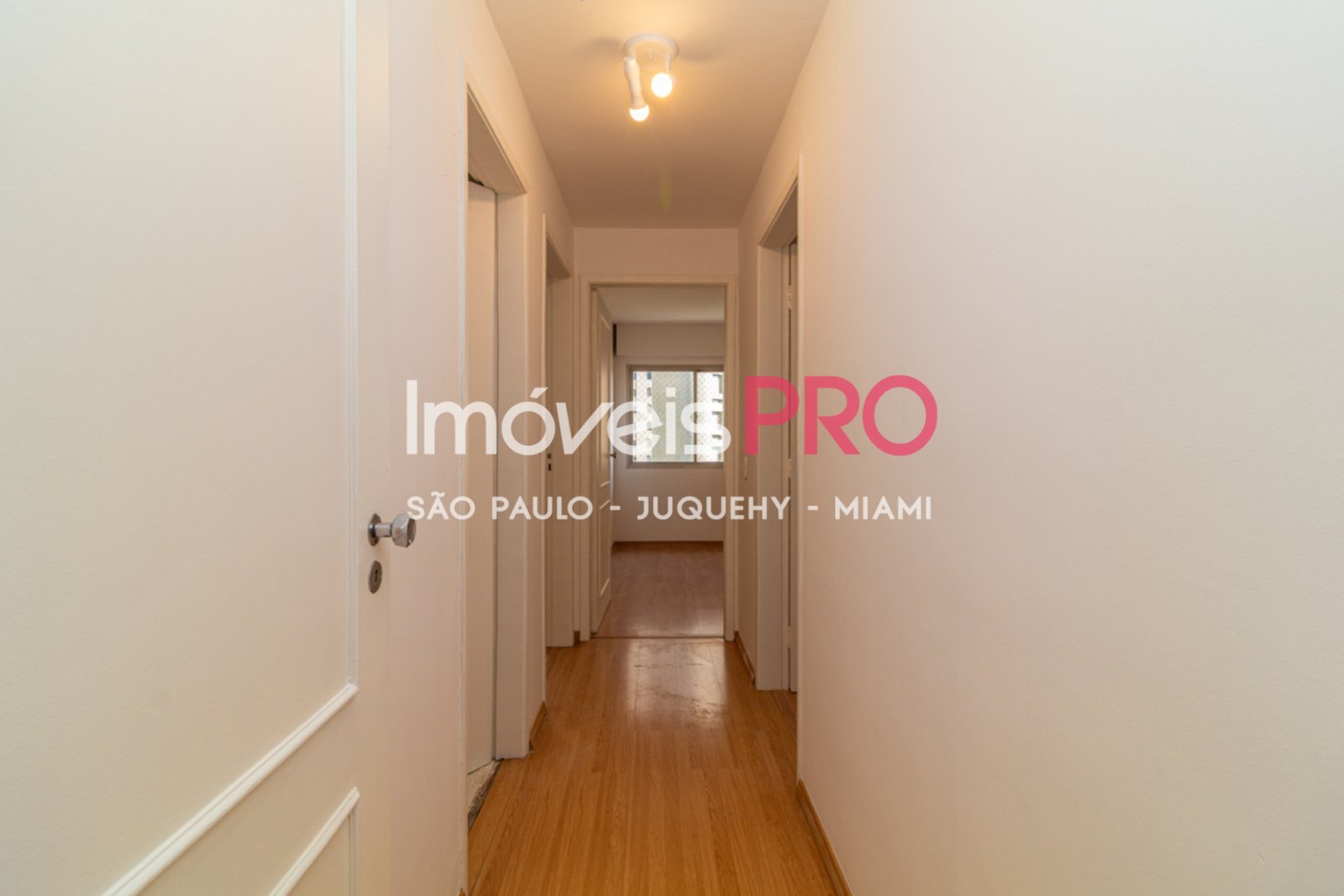 Foto :: IP40106