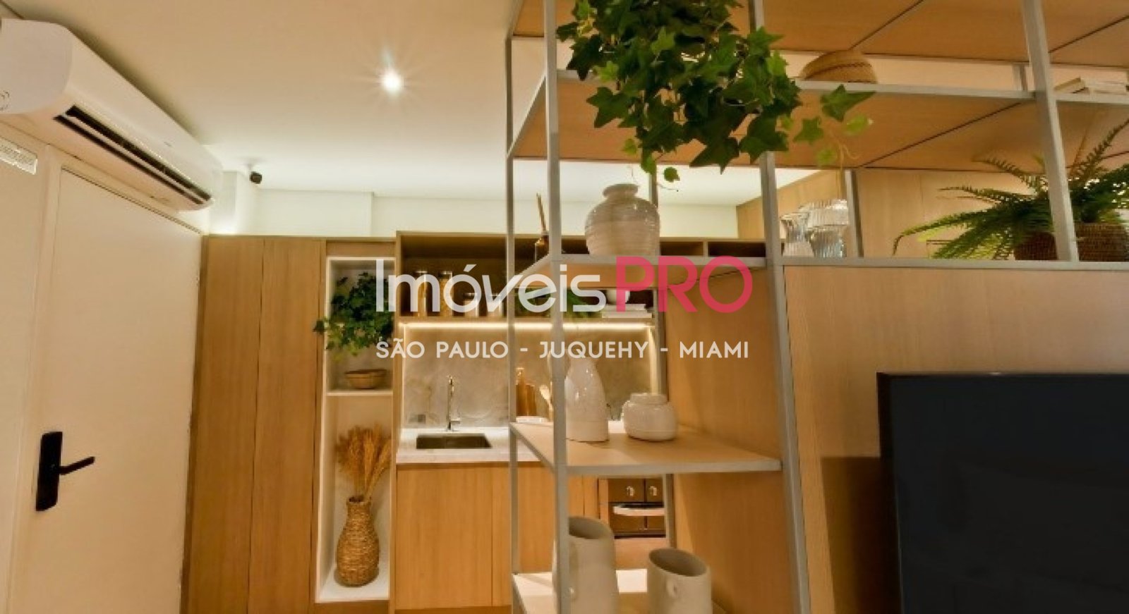 Foto :: IP40113