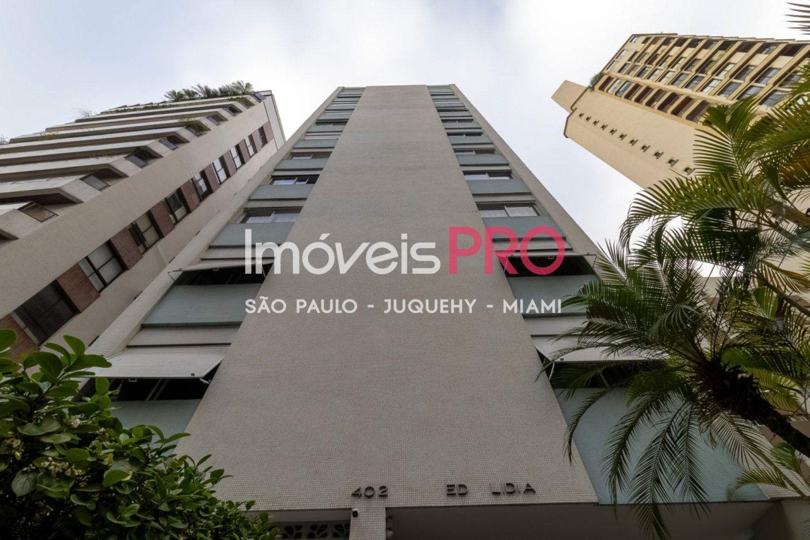 Foto :: IP40115