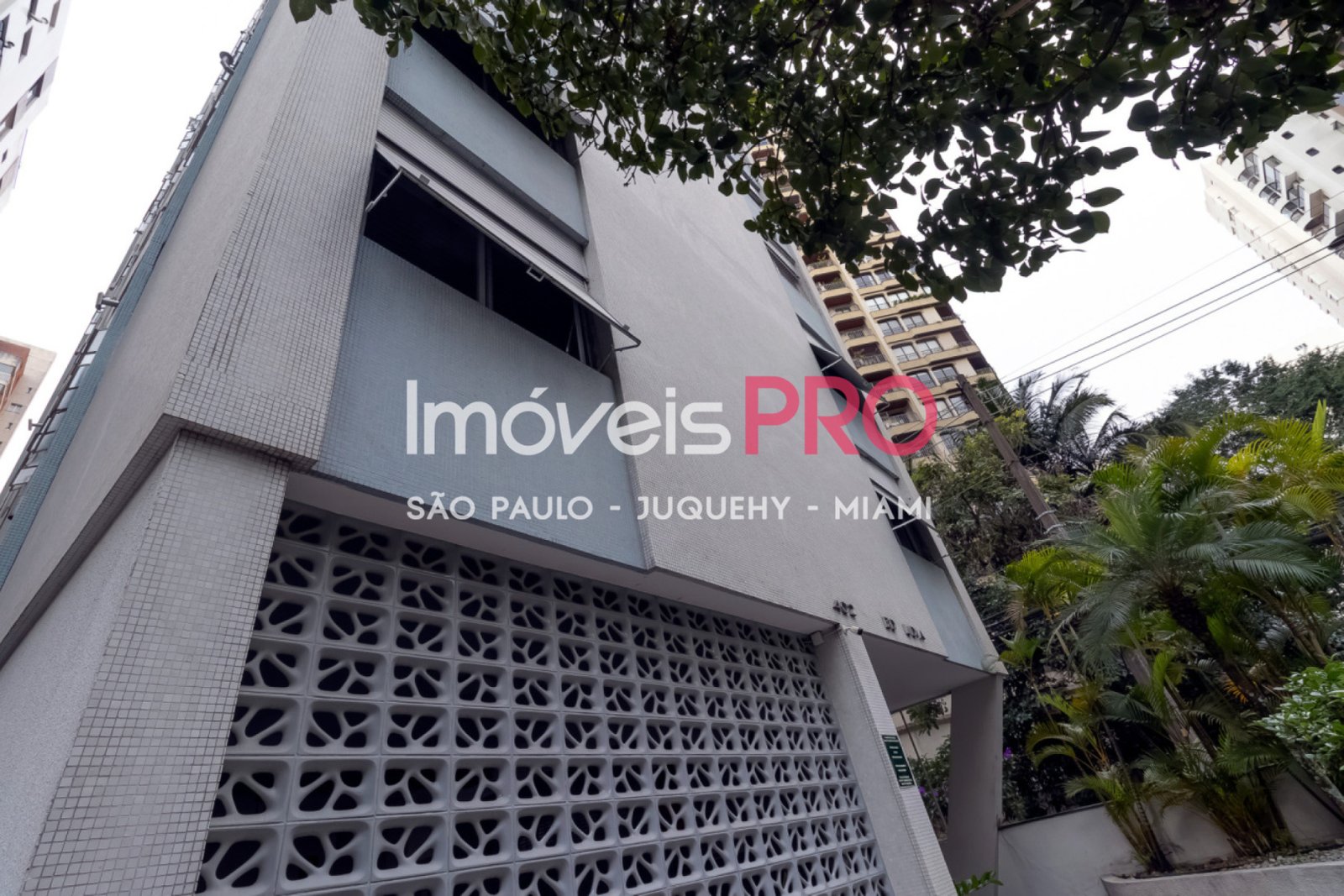 Foto :: IP40115