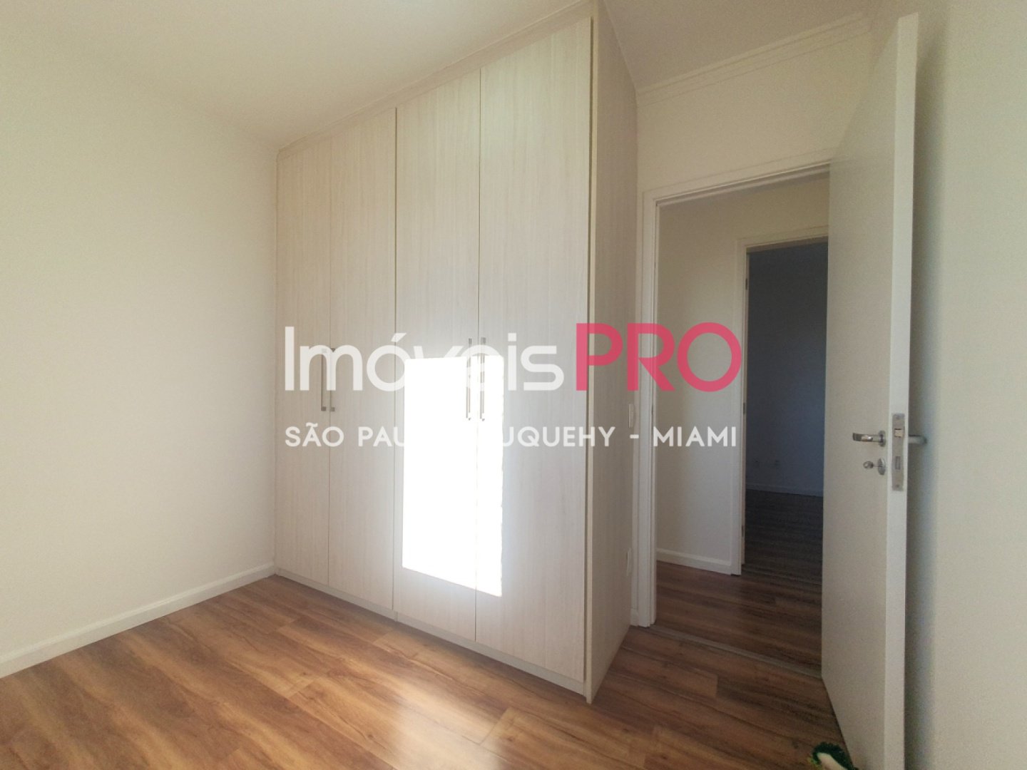 Foto :: IP40117
