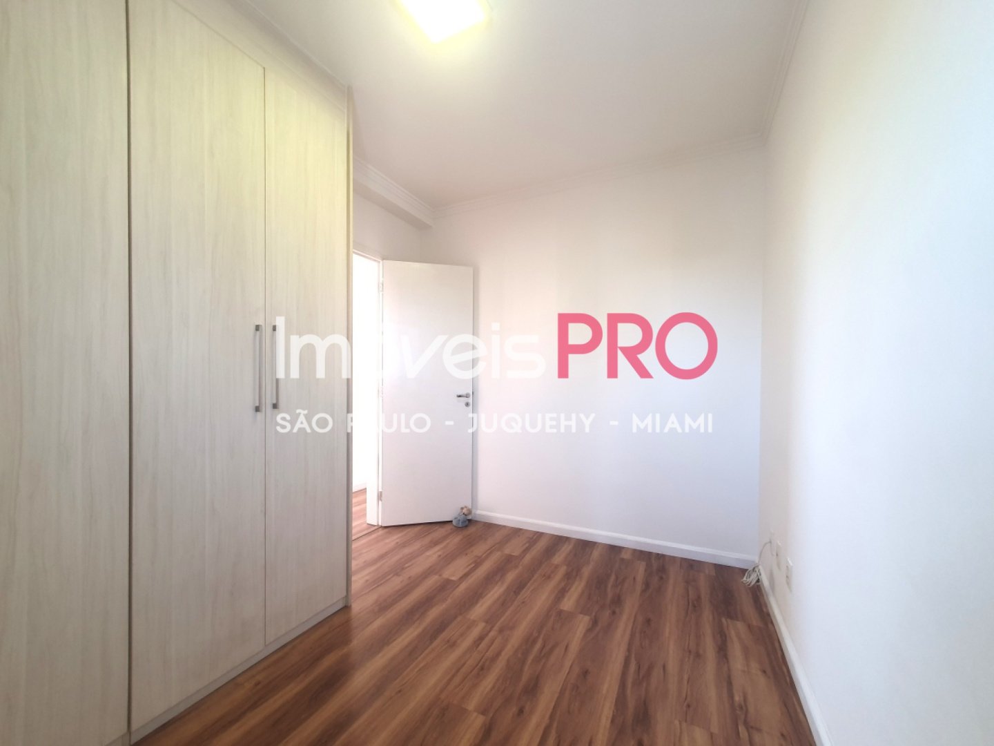 Foto :: IP40117