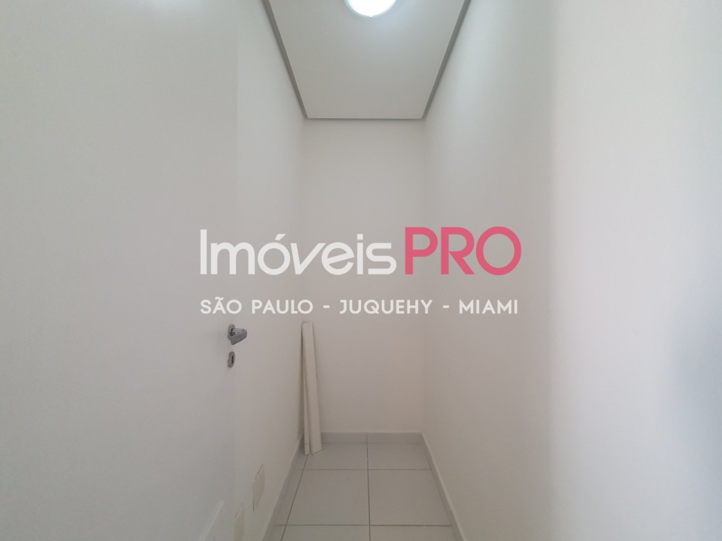 Foto :: IP40117