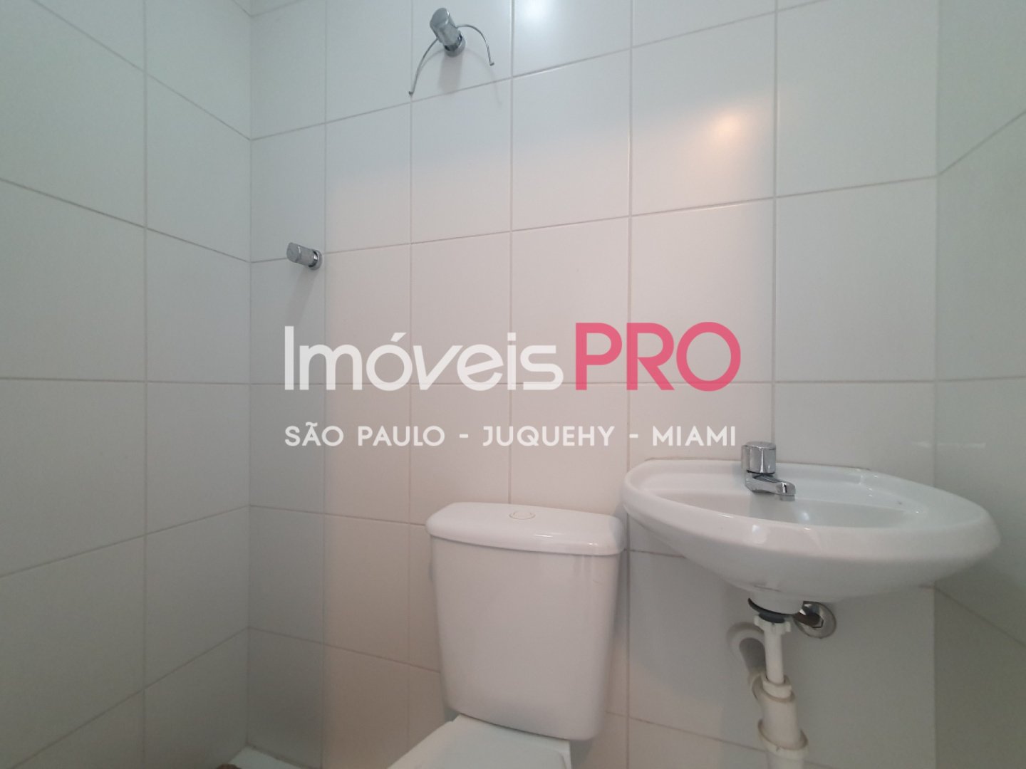 Foto :: IP40117