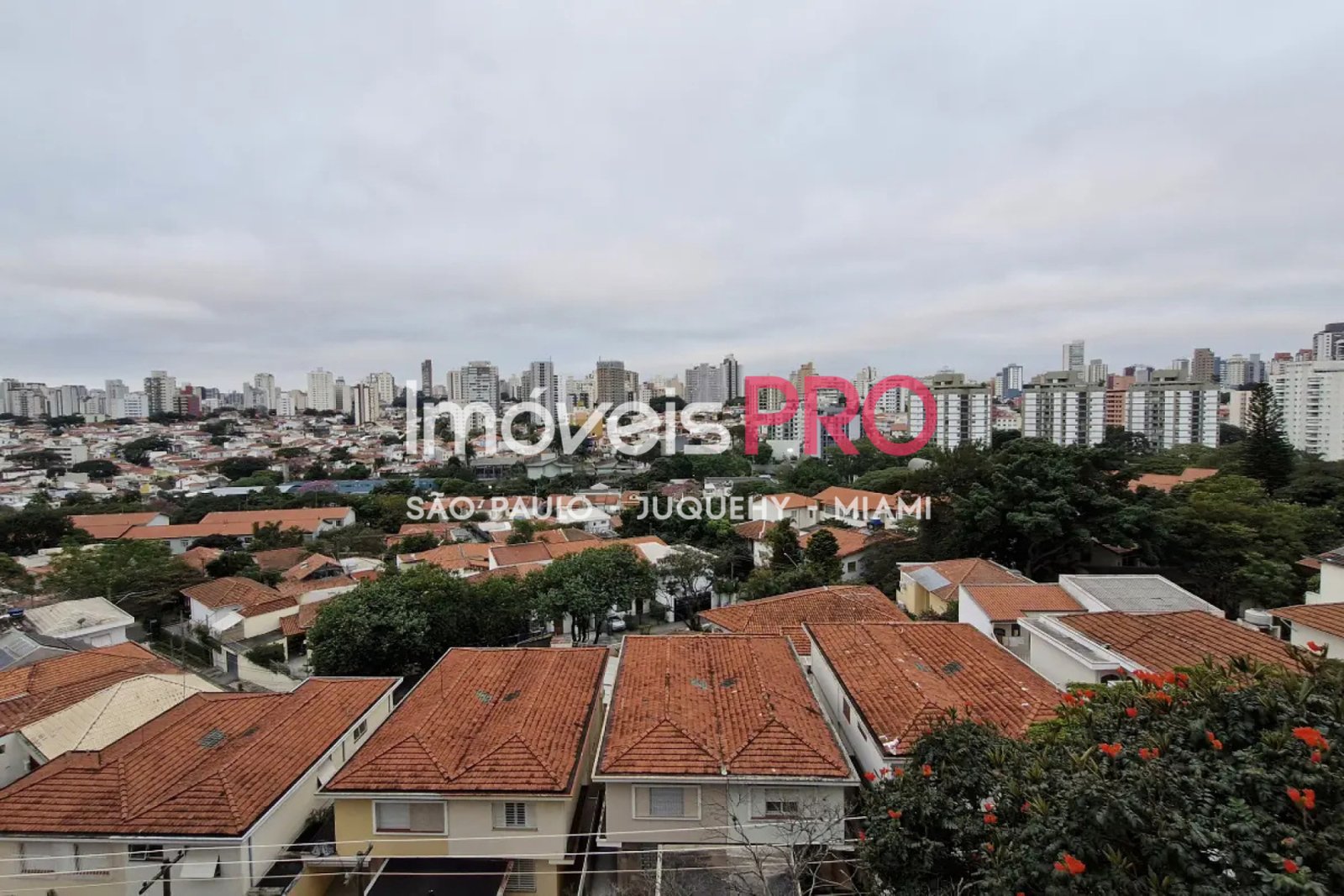 Foto :: https://assets.imoveispro.com.br/thumb/IP40131/apartamento-venda-planalto-paulista_IP40131_11_1920x1080.jpg?