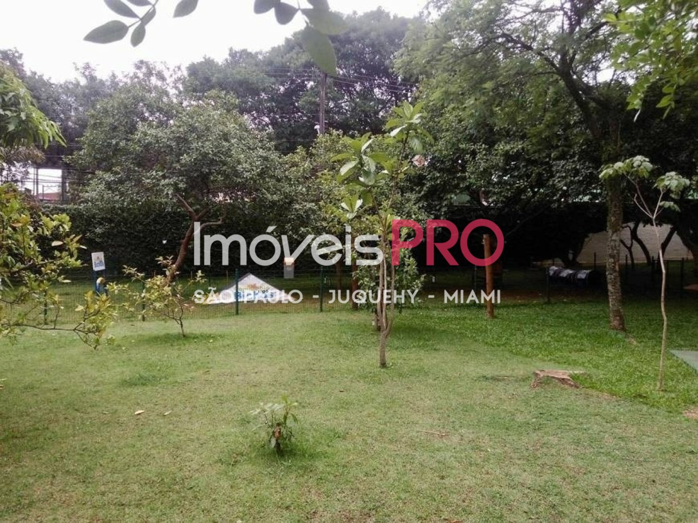 Foto :: IP40142