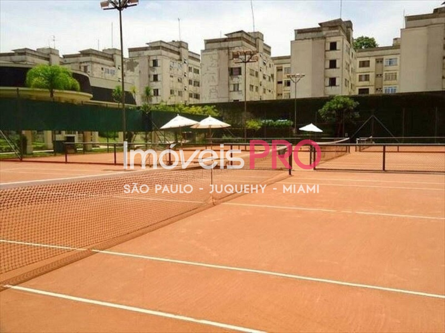 Foto :: IP40142