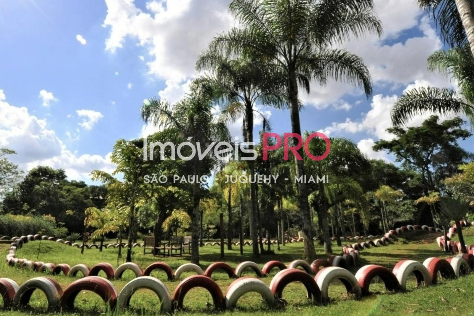 Foto :: IP40142