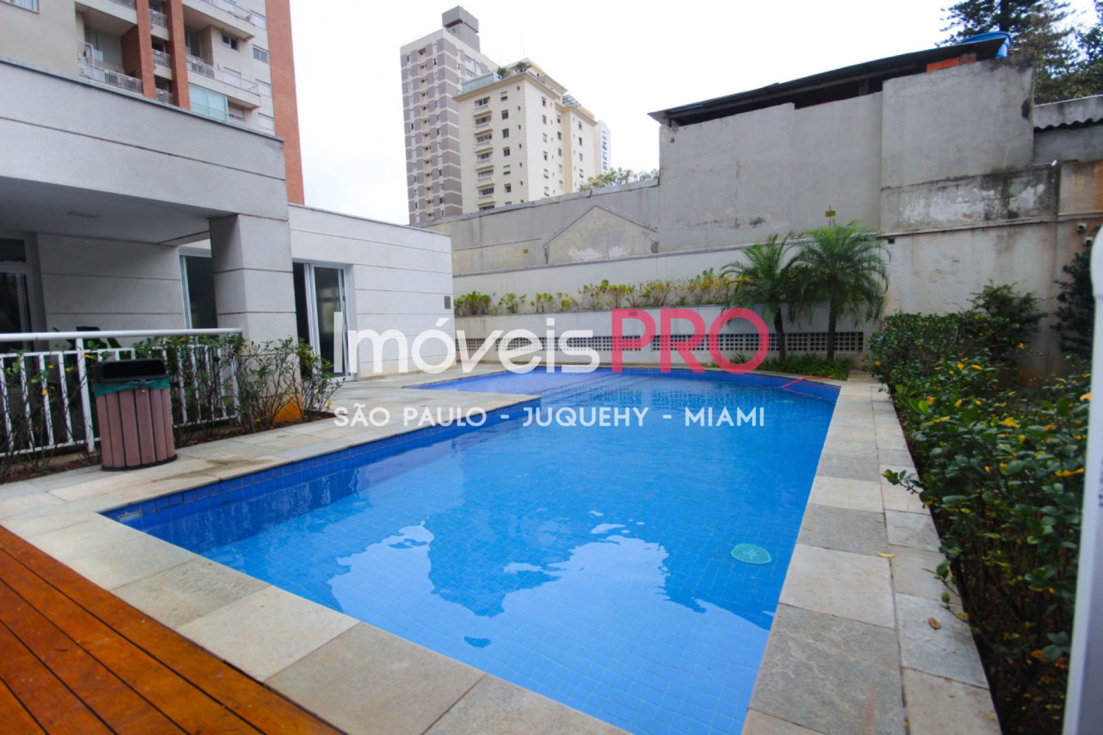 Foto :: IP40143