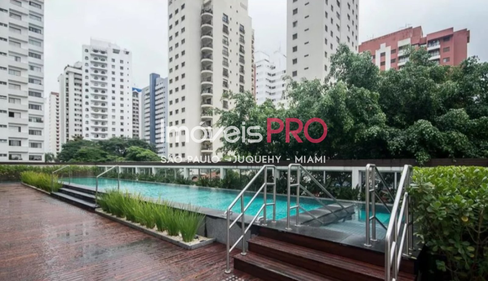 Foto :: IP40159