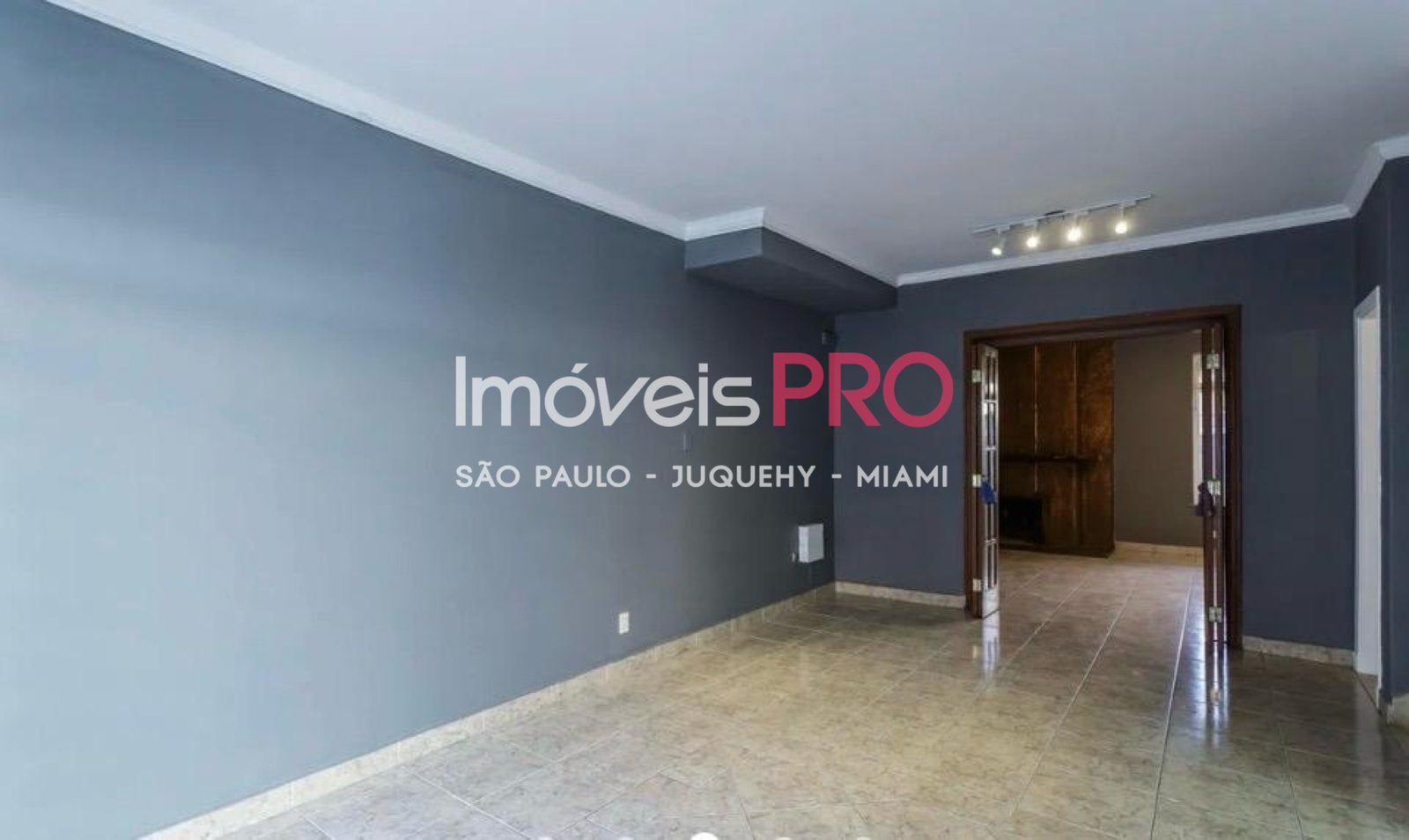 Foto :: IP40162