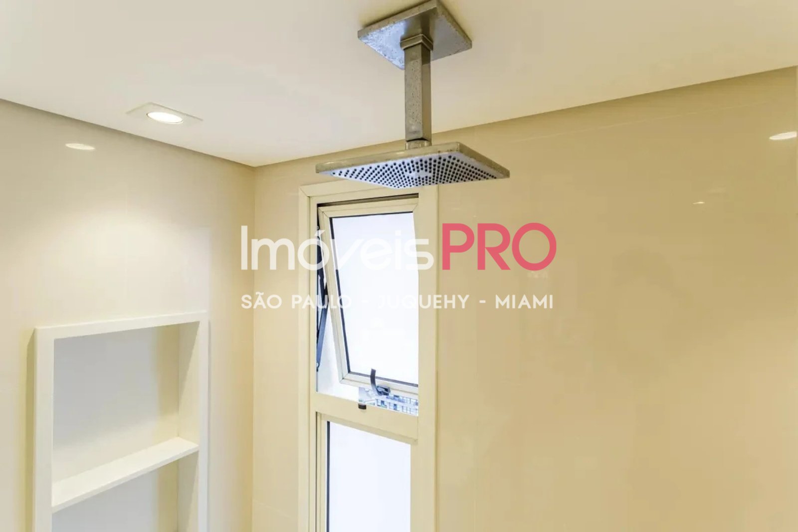 Foto :: IP40163