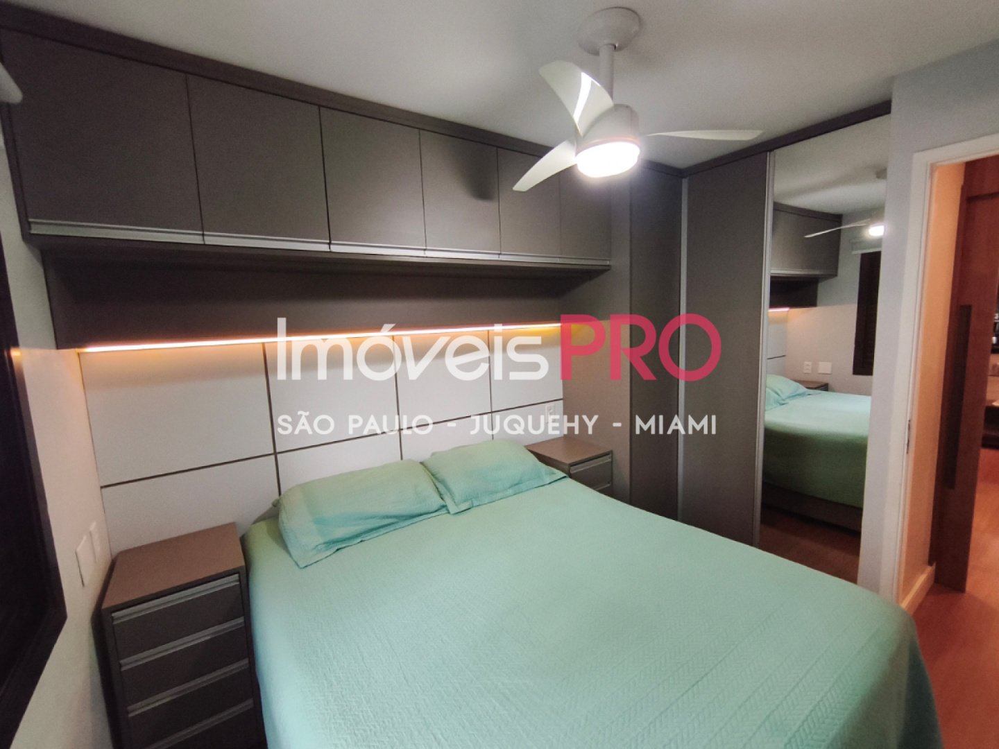 Foto :: IP40165
