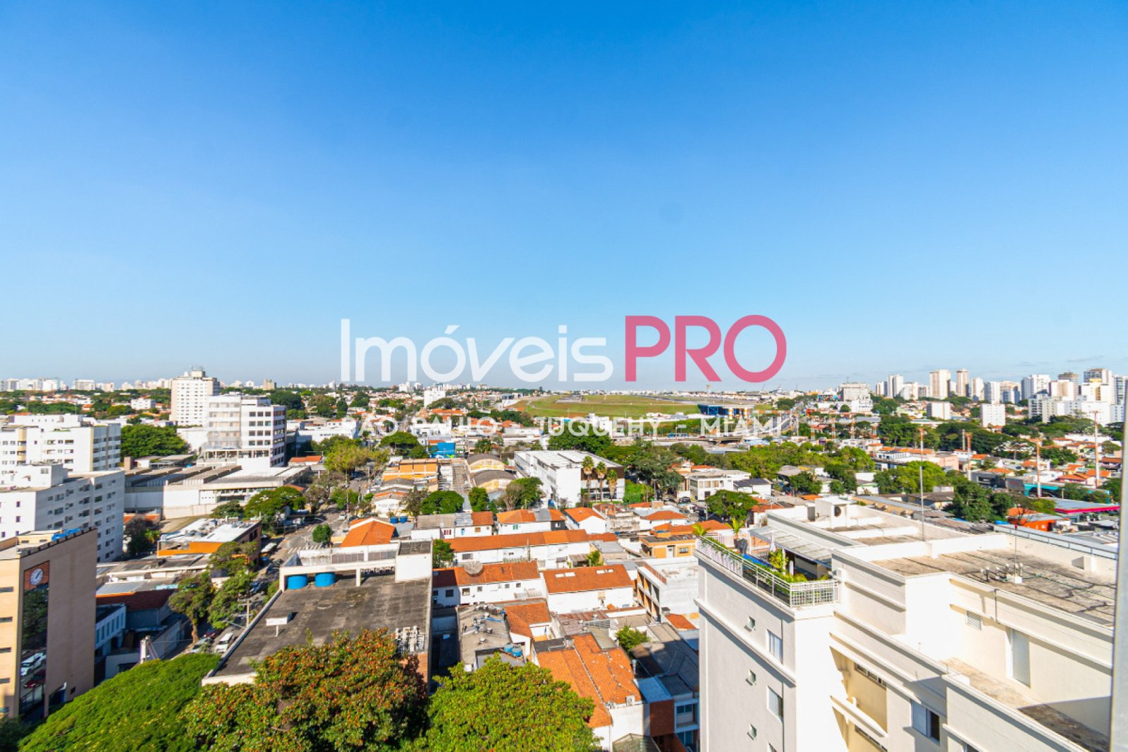Foto :: IP40167