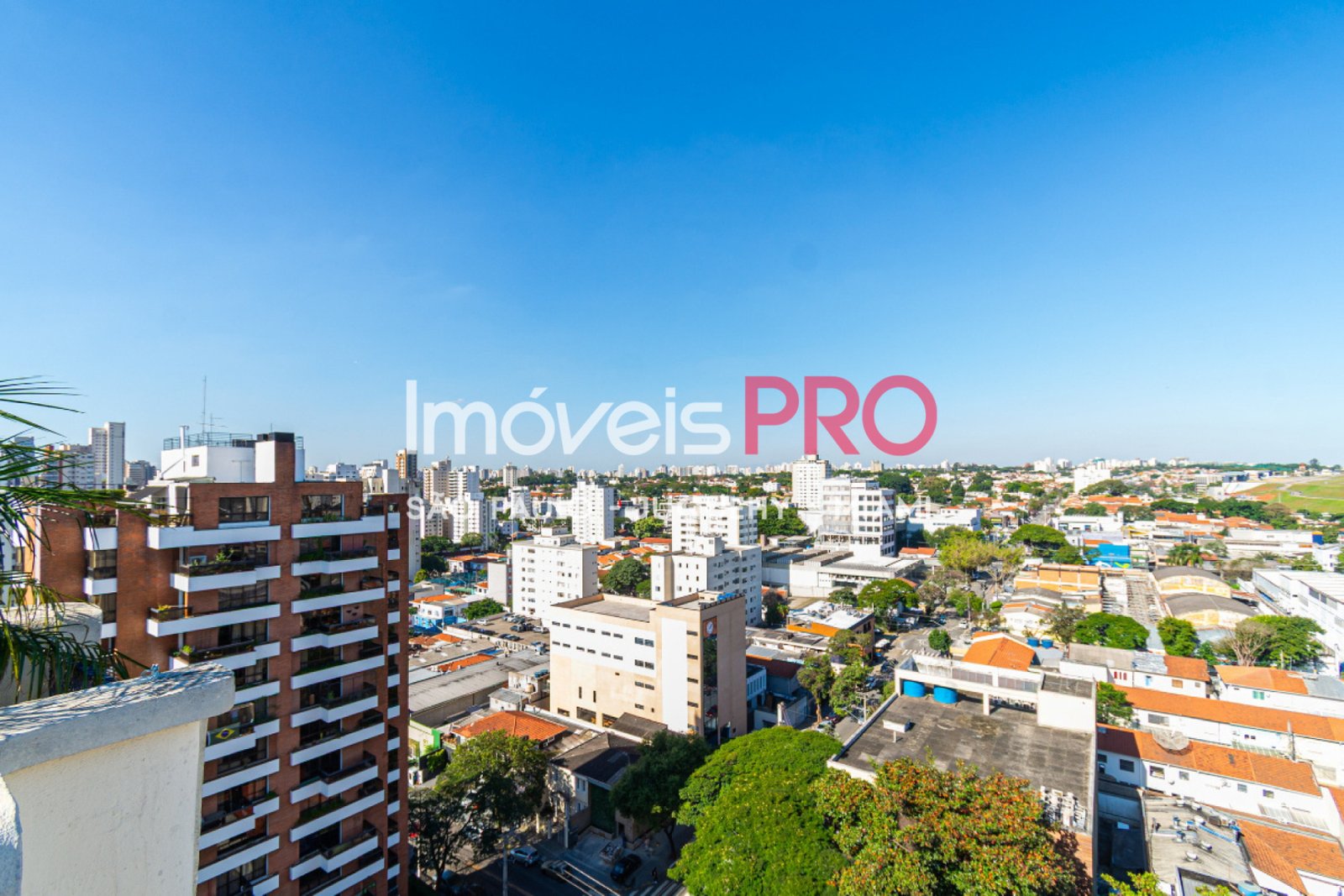Foto :: IP40167