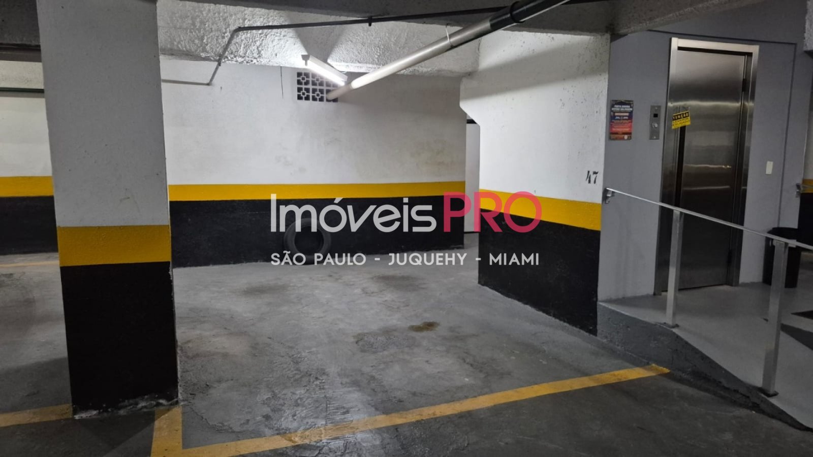 Foto :: IP40168