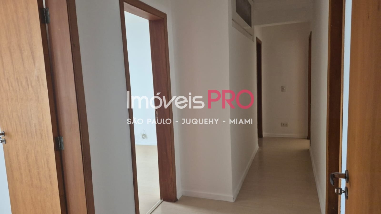 Foto :: IP40168