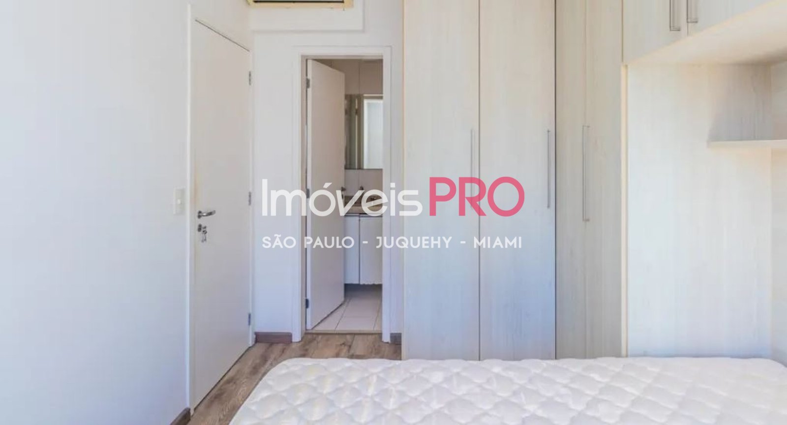 Foto :: IP40172