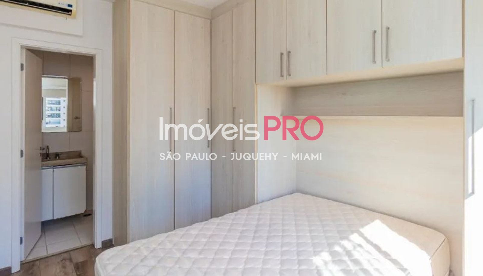 Foto :: IP40172