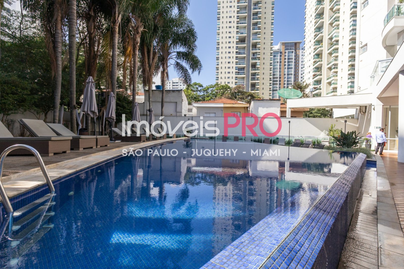 Foto :: IP40172