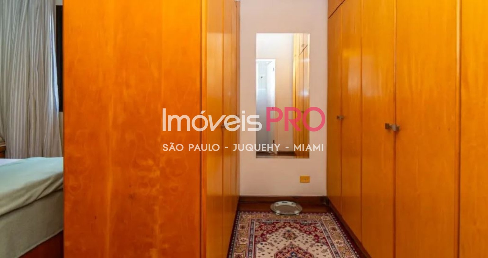 Foto :: IP40173