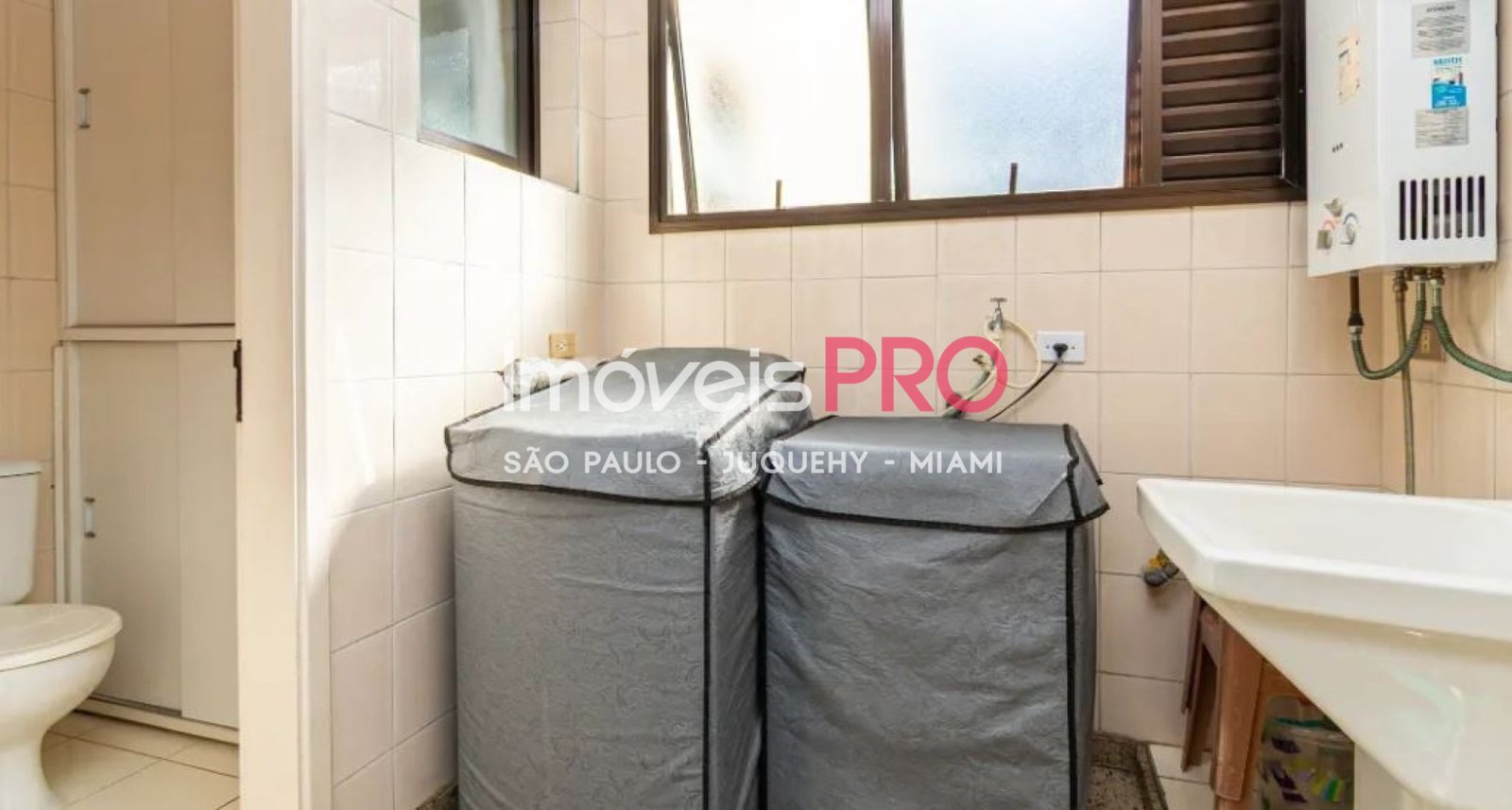 Foto :: IP40173