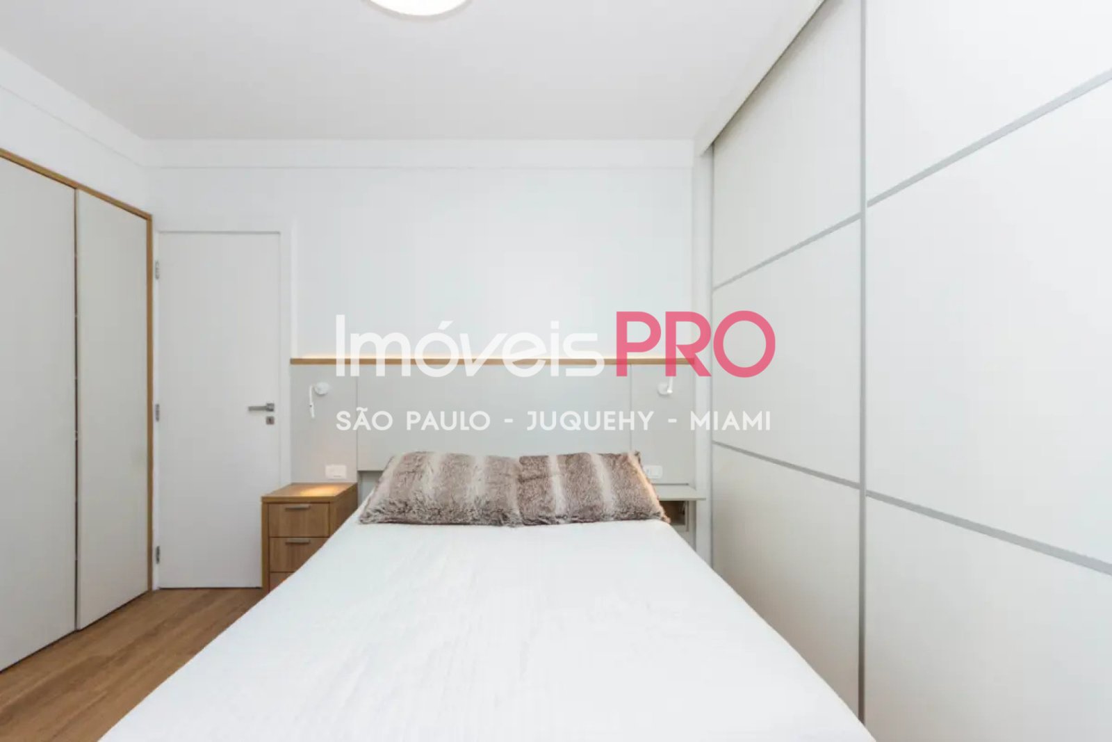 Foto :: IP40177