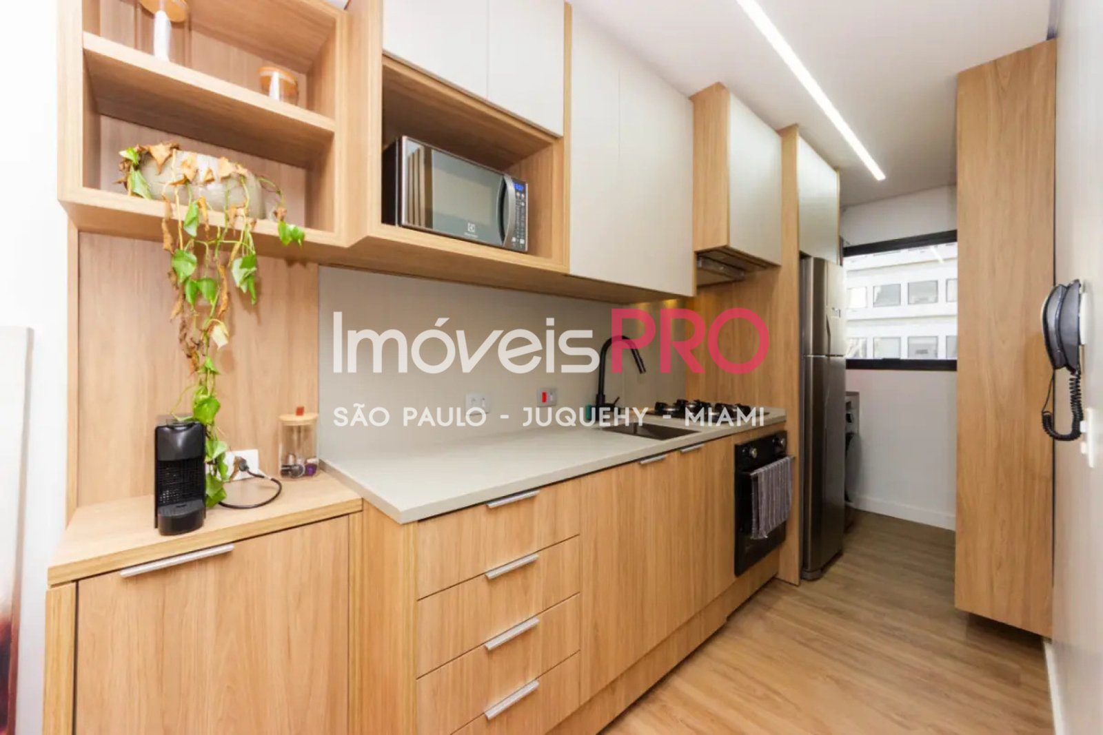 Foto :: IP40177