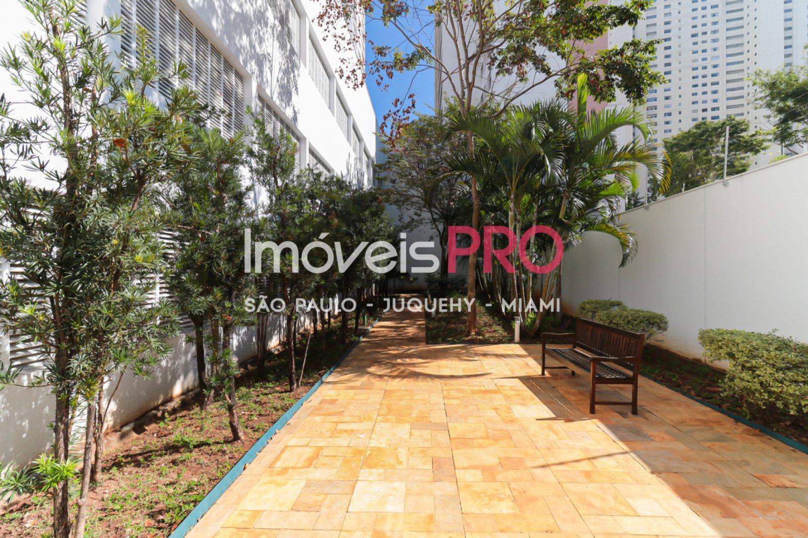 Foto :: IP40183