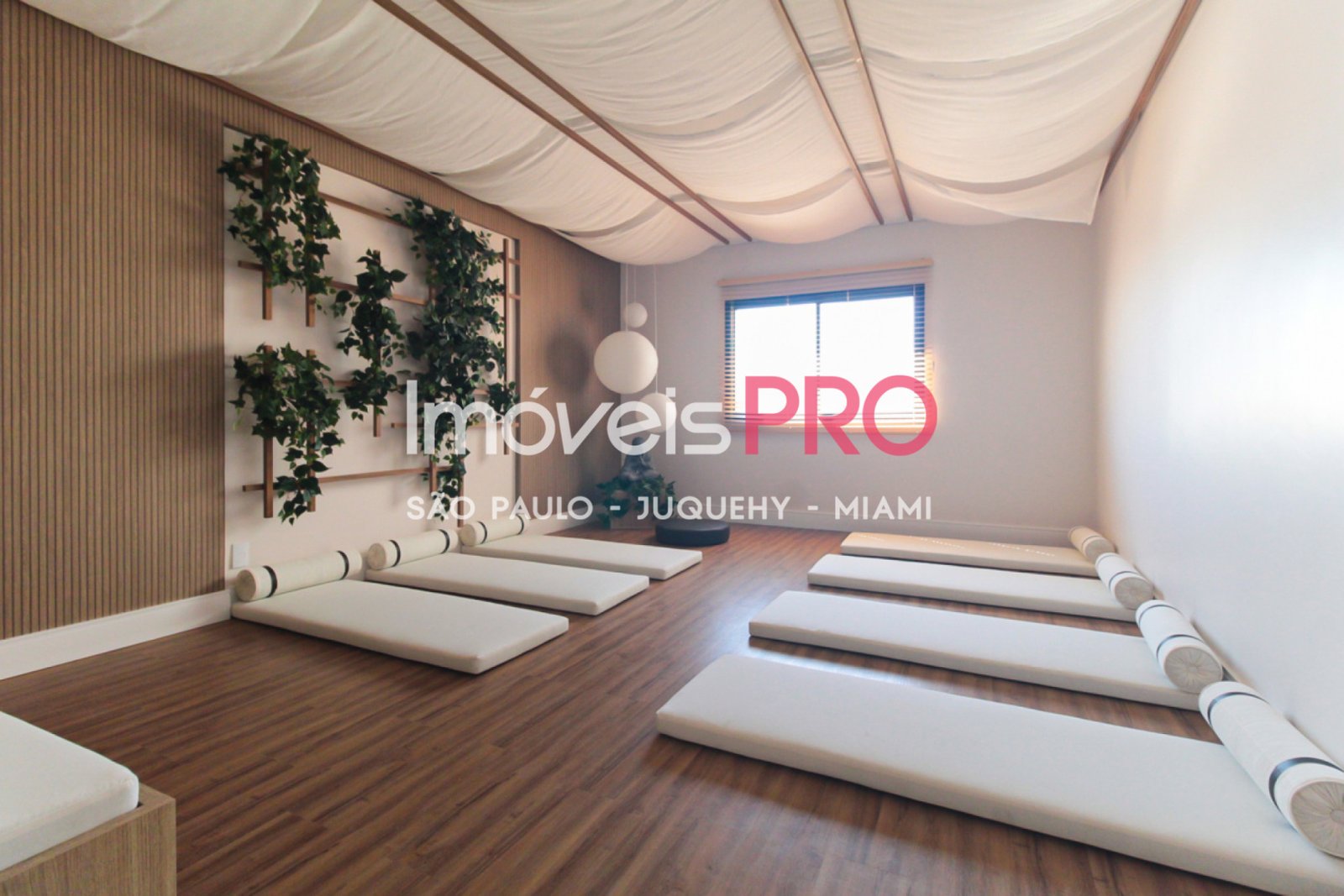 Foto :: IP40184