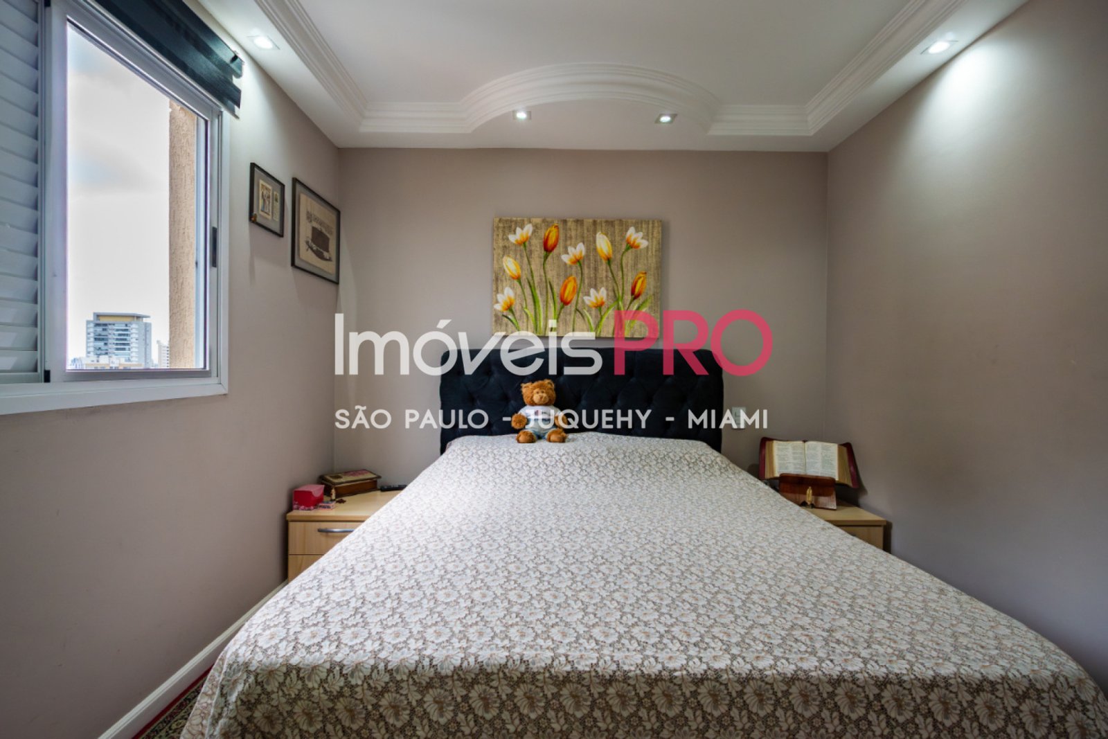 Foto :: IP40189