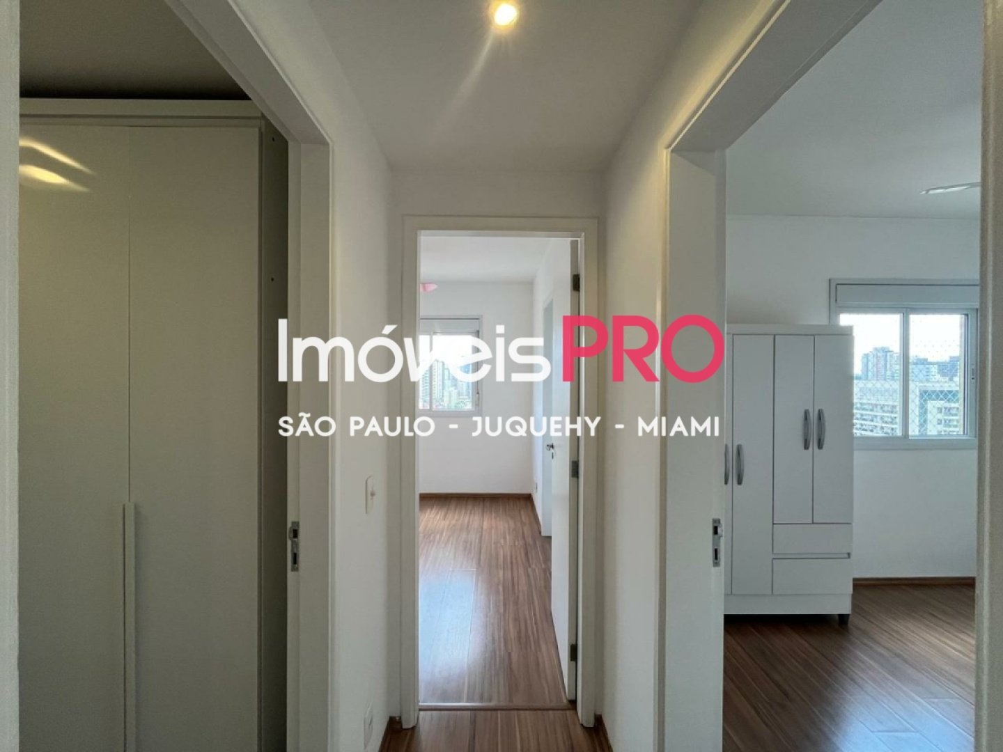 Foto :: IP40194