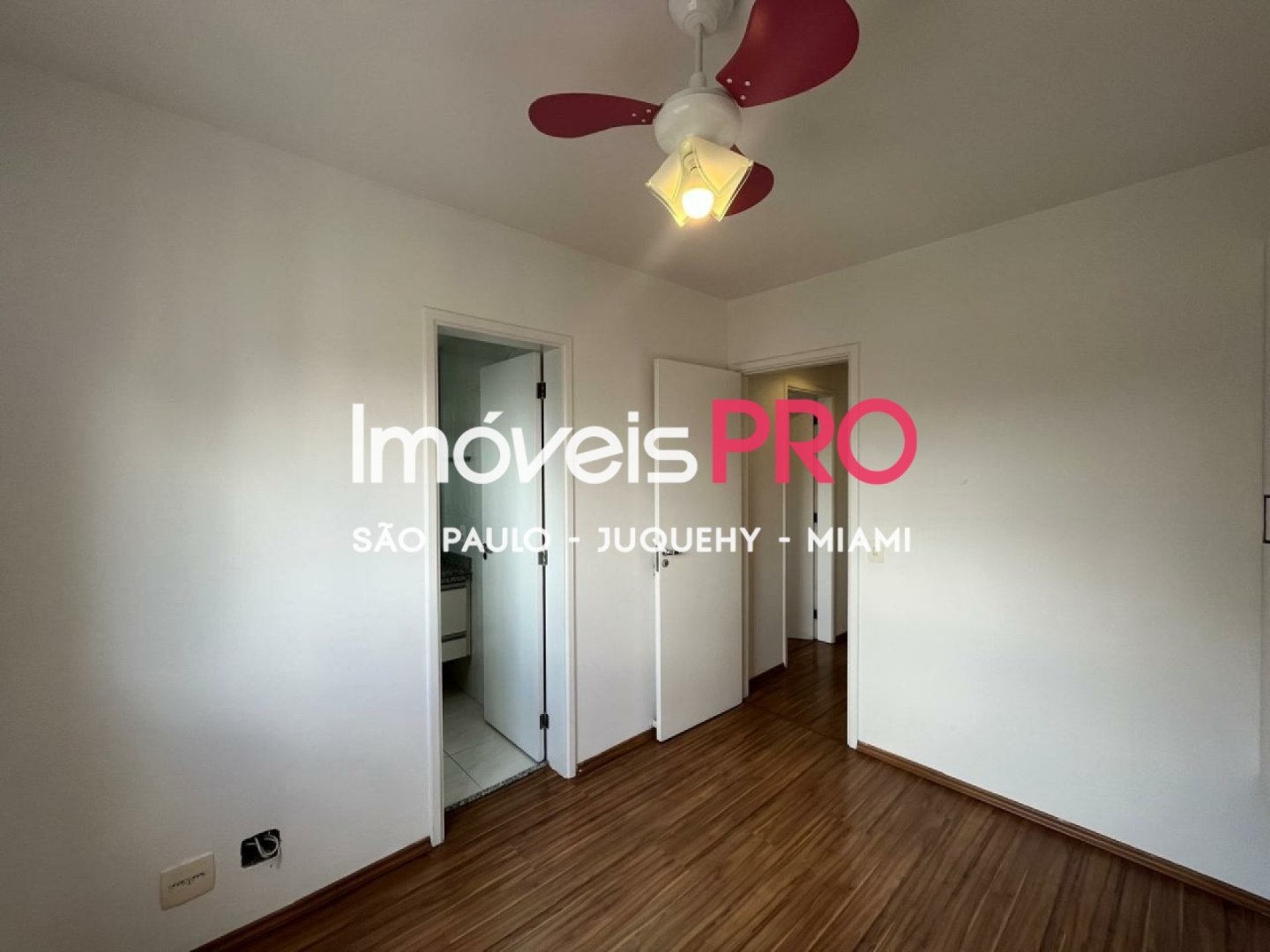 Foto :: IP40194
