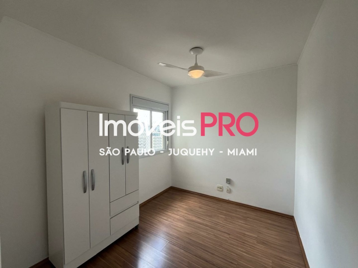 Foto :: IP40194
