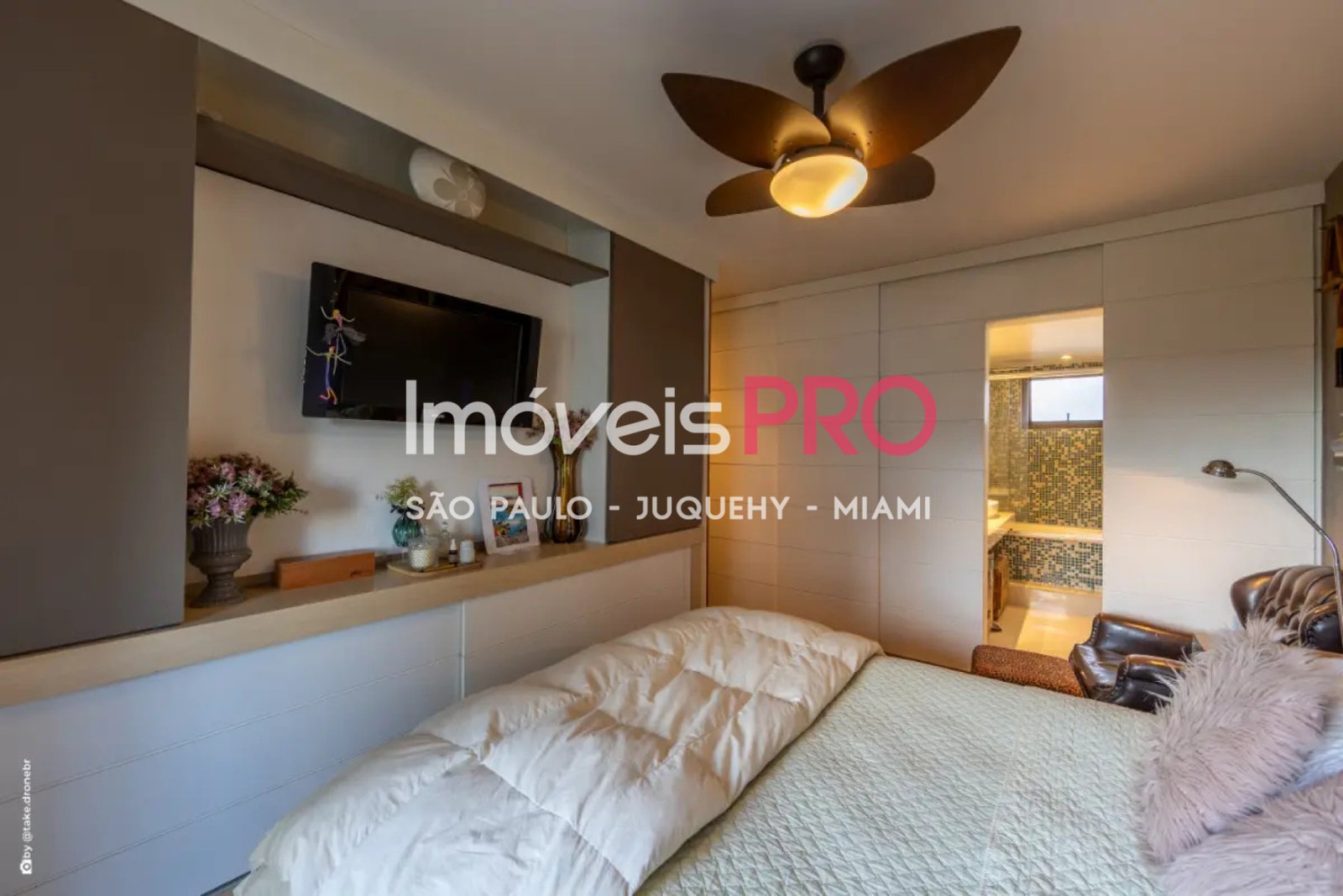 Foto :: IP40195