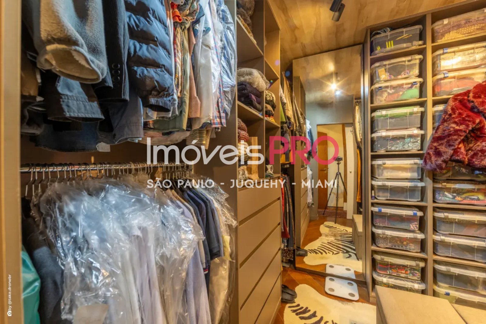 Foto :: IP40195