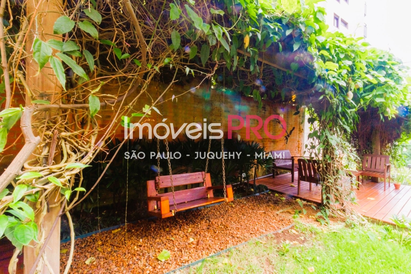 Foto :: IP40196