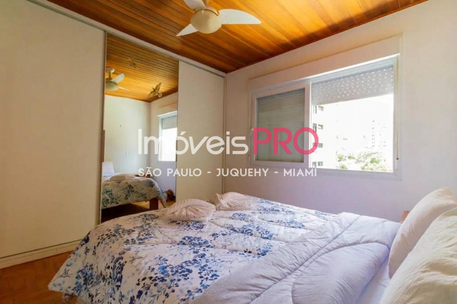 Foto :: IP40196