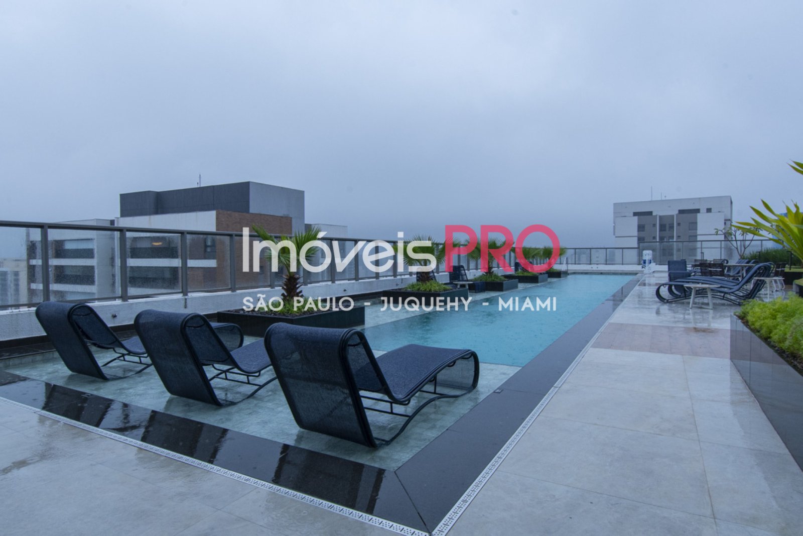Foto :: IP40206