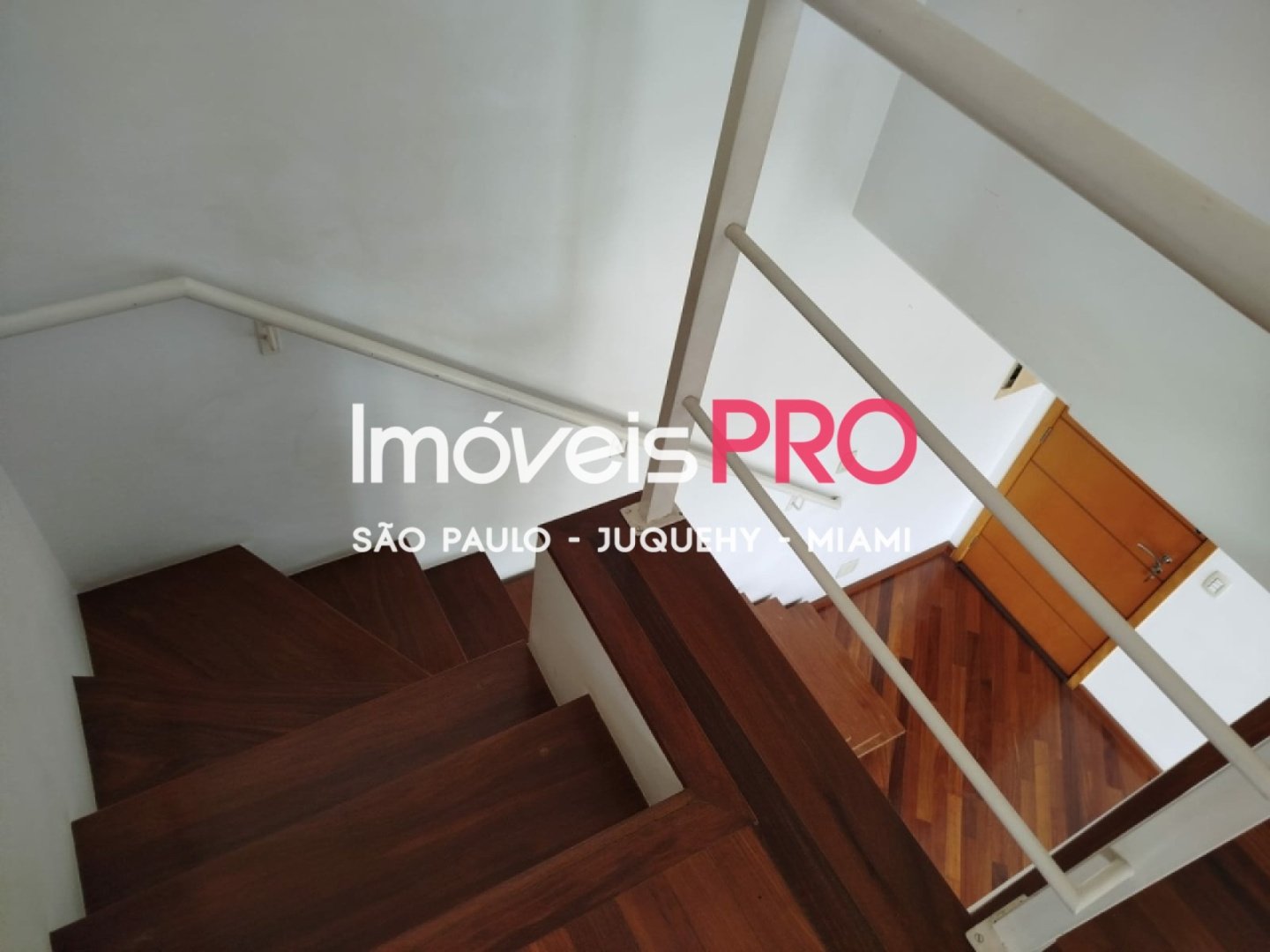 Foto :: IP40207