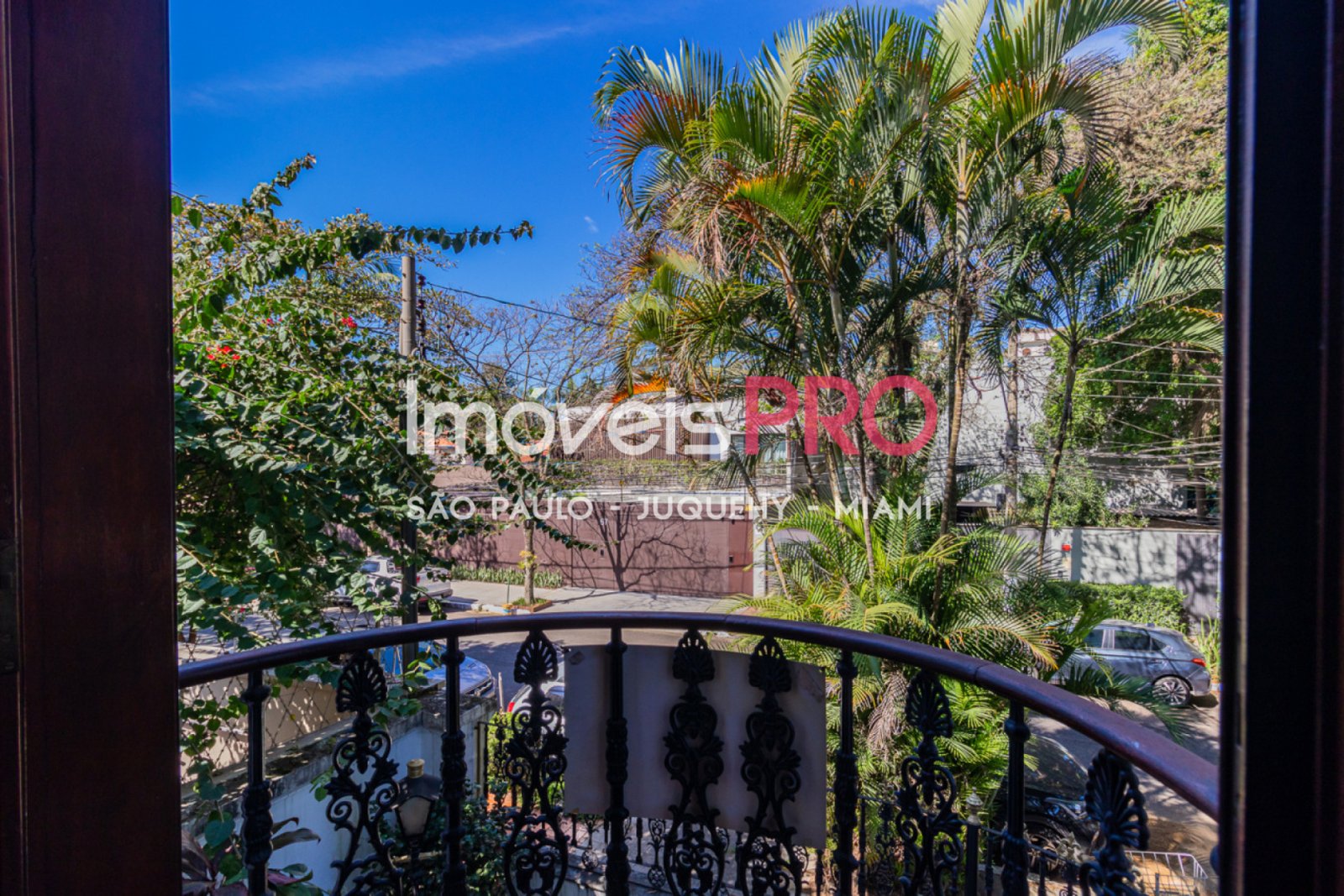 Foto :: IP40208