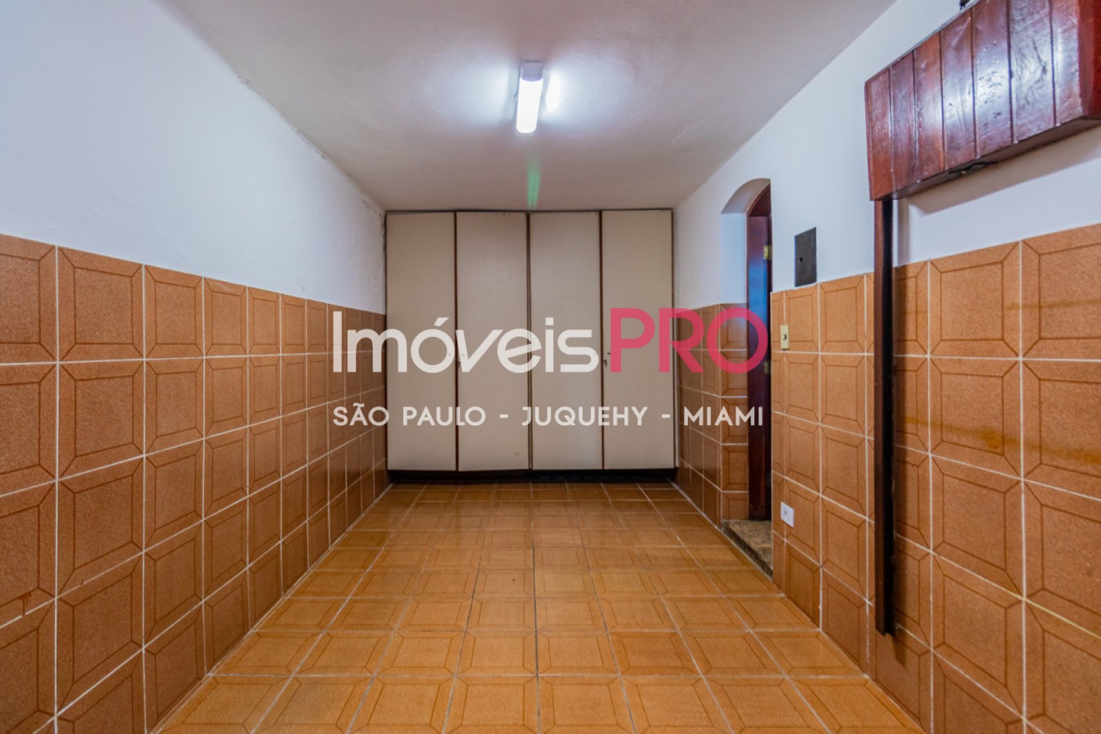 Foto :: IP40208