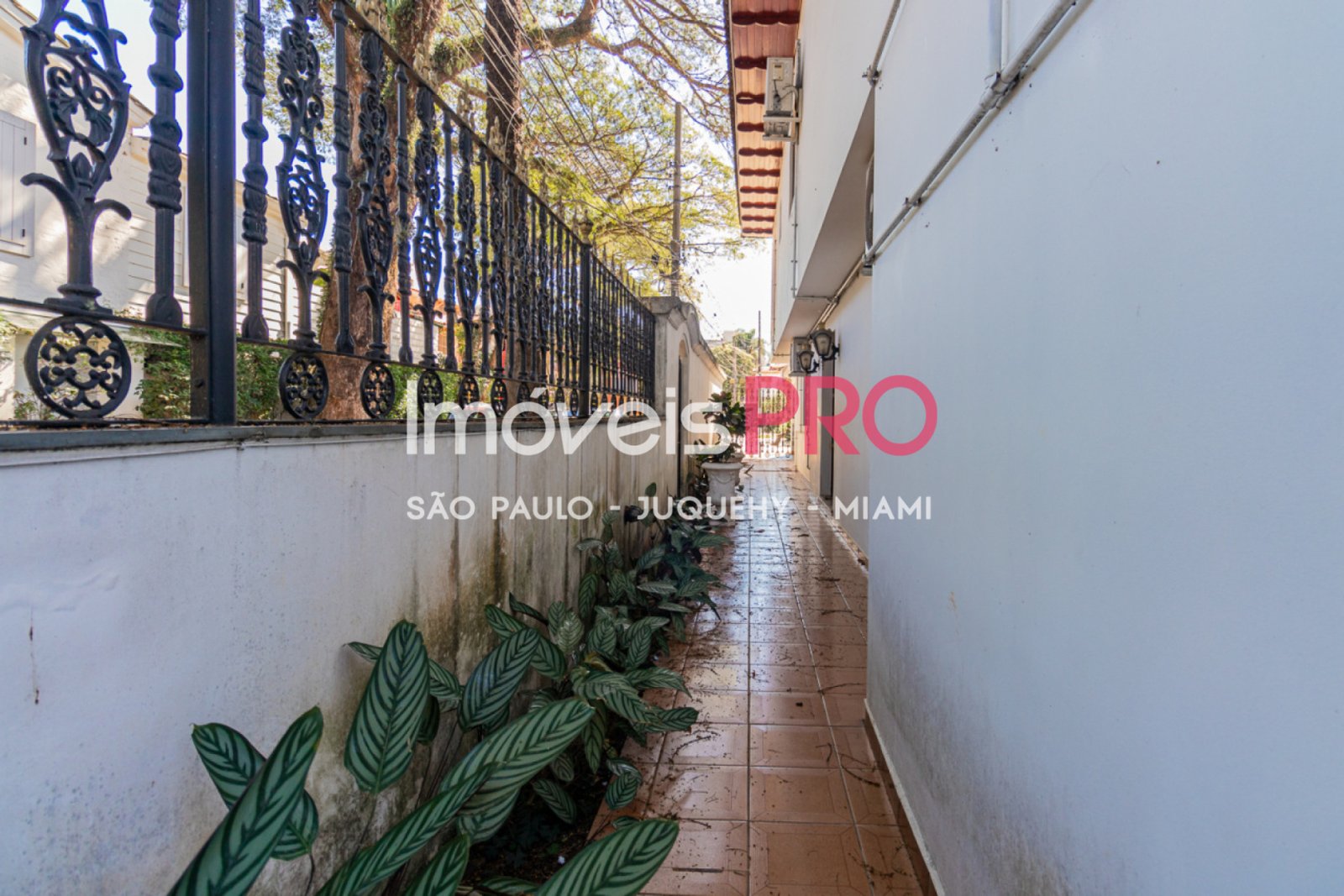 Foto :: IP40208