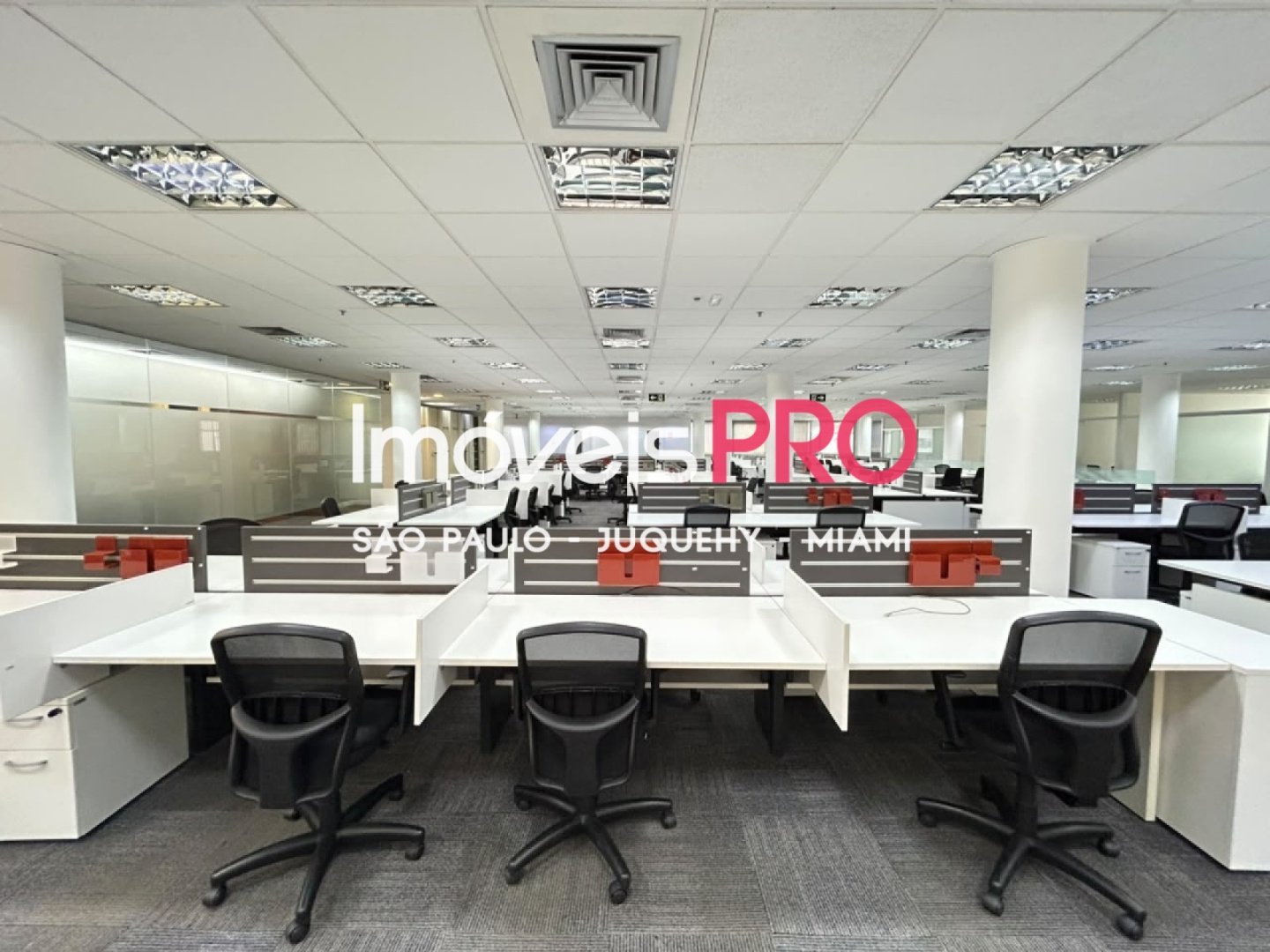 Foto :: IP40212