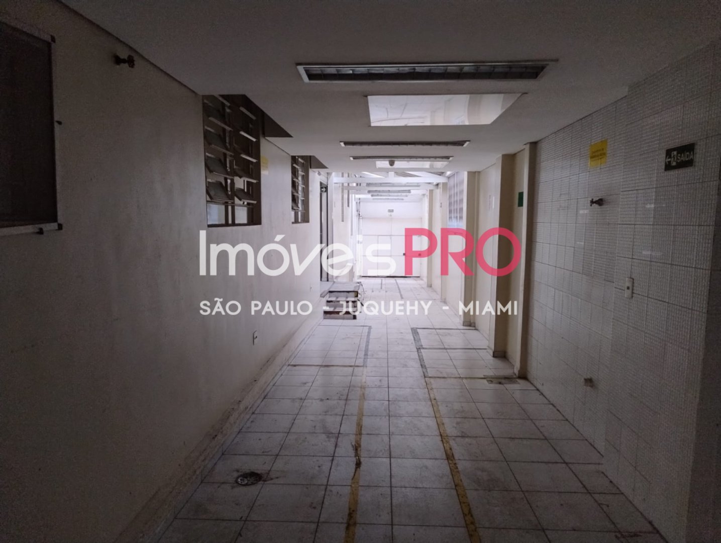 Foto :: IP40226