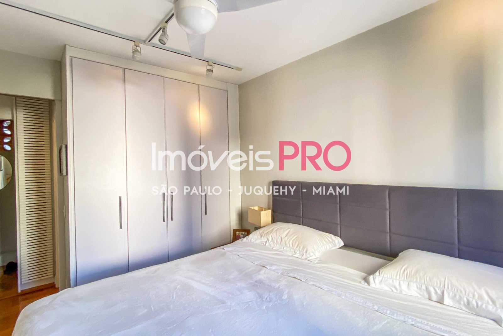 Foto :: IP40229