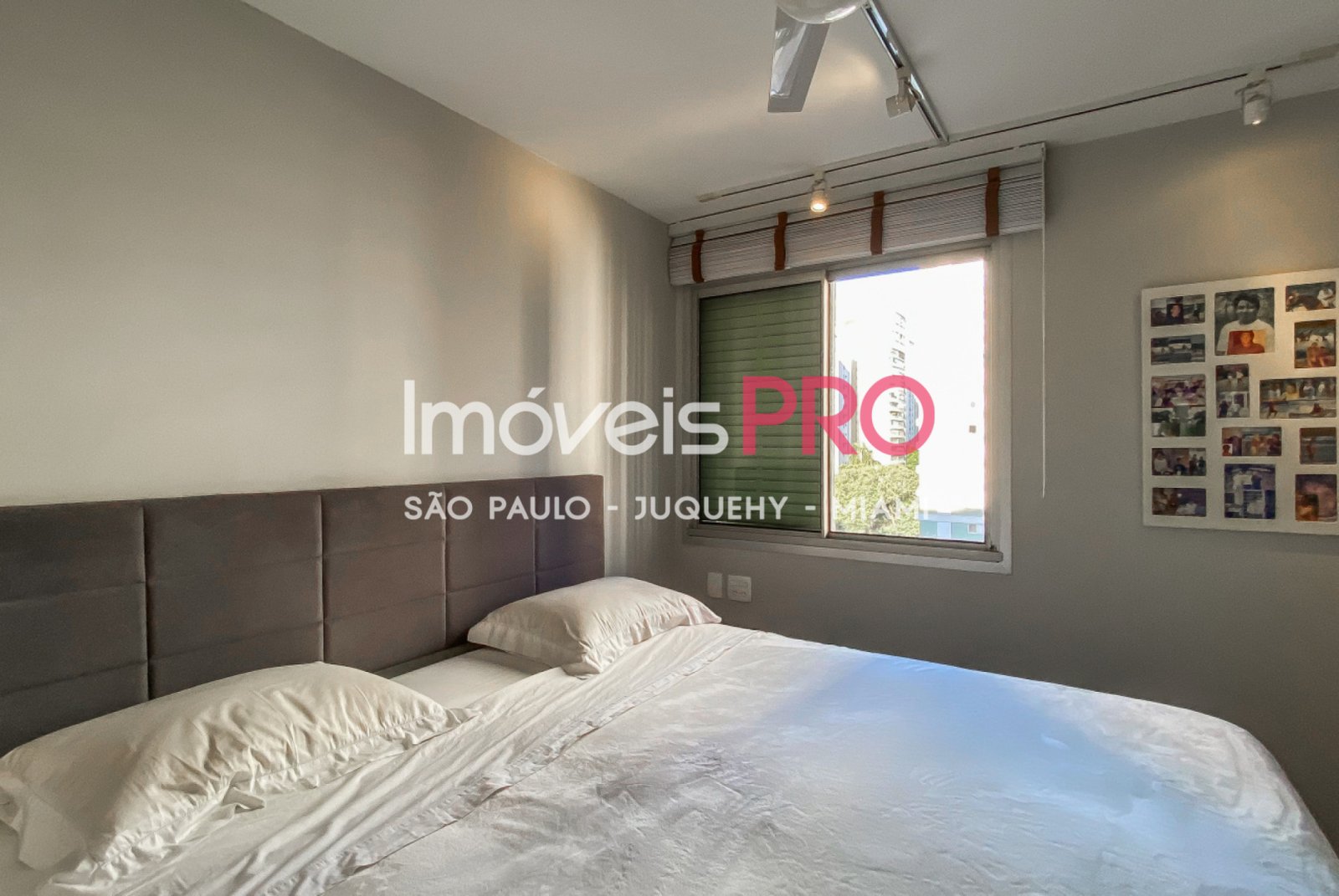 Foto :: IP40229